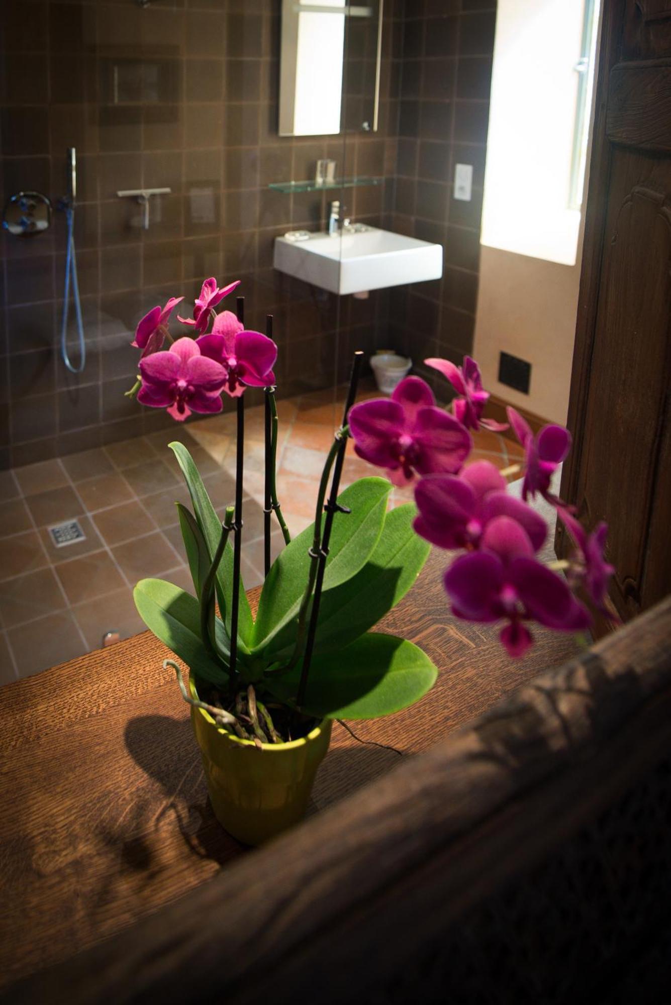 Chambres D'Hotes Domaine De Nazere Avezan Værelse billede
